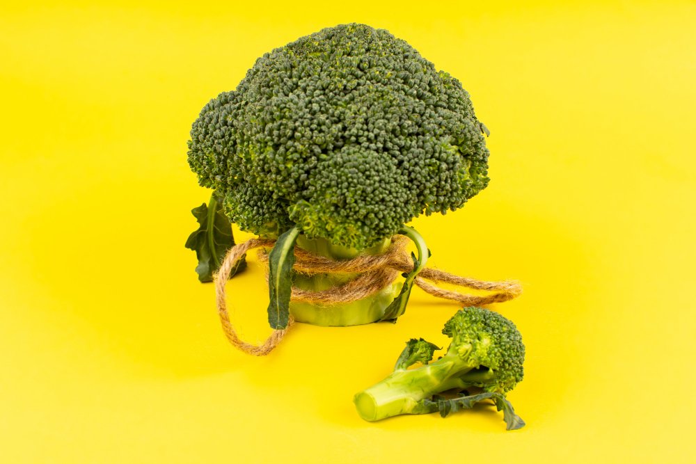7 Best Reasons Broccoli and Broccoli Sprouts Are a True Superfood WiserHealth