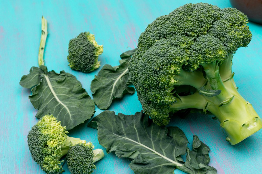 Who Should Eat Broccoli? WiserHealth