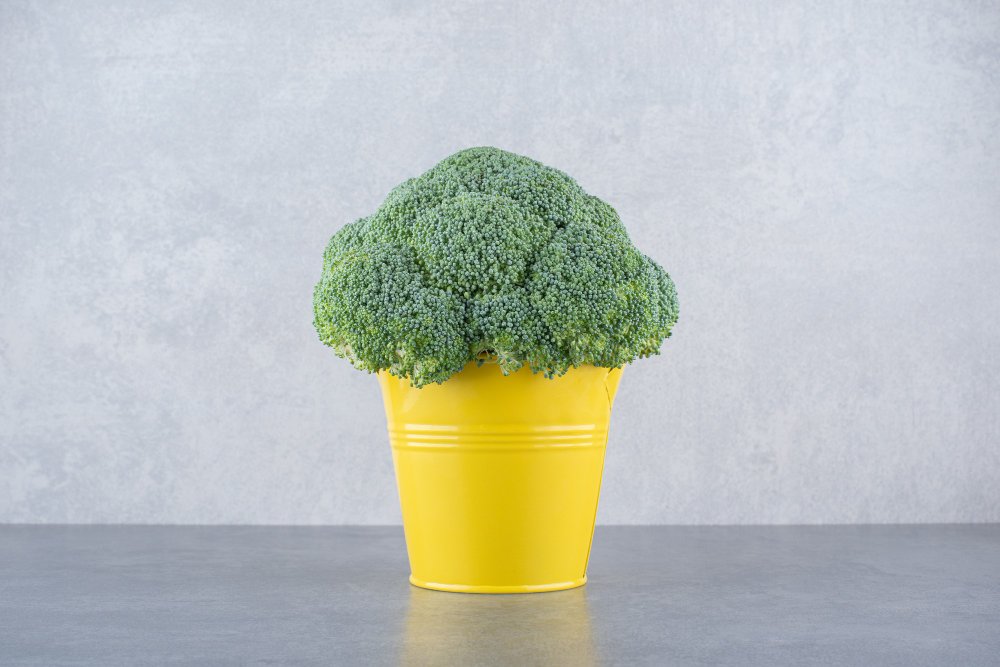 How to Eat Broccoli for Maximum Benefits WiserHealth