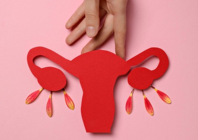 Menopause Symptoms wiserhealth