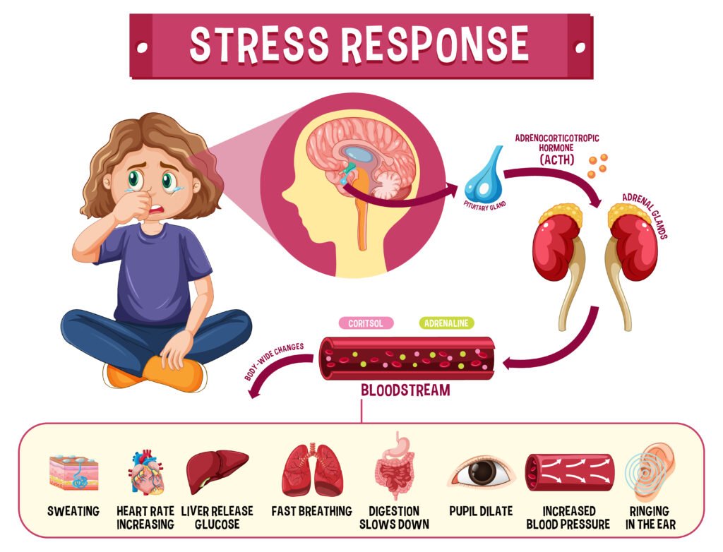 benefits of cortisol - Wiser Health.ca