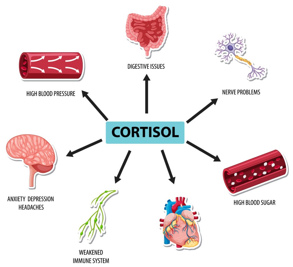 benefits of cortisol - Wiser Health.ca