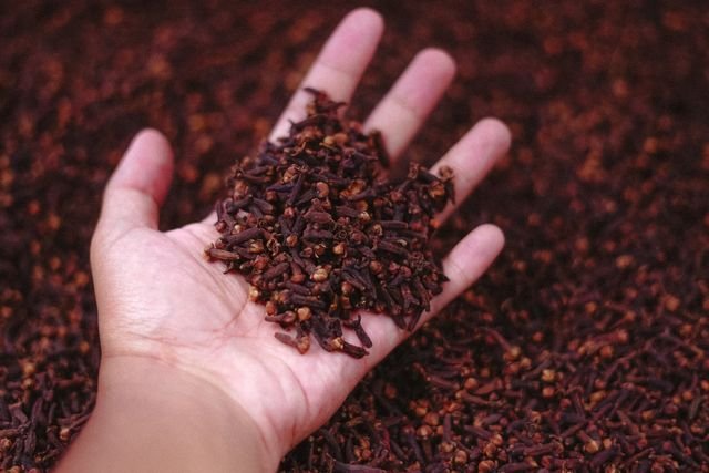 Clove for Anti-Aging, Eugenol, Benefits, and Evidence - Wiser Health Clove for anti-aging wiserhealth.ca